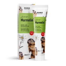 Bano - Murmelin® Sport- en gewrichtszalf - 60 ml